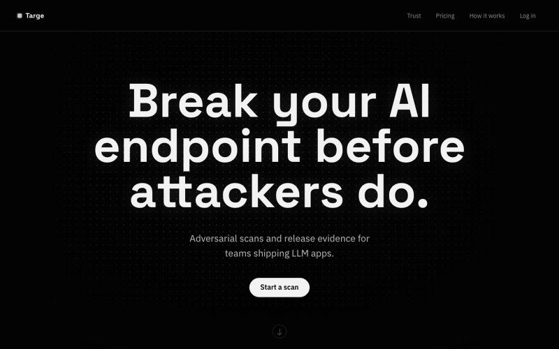 Targe — LLM security scanning & audit reports — screenshot