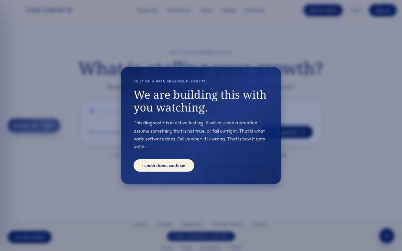 Vee Group · Business Growth Engineering — AI-Native Diagnostics for Founder-Led  — screenshot