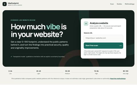 Vibe Coding Website Checker & Security Scan — screenshot