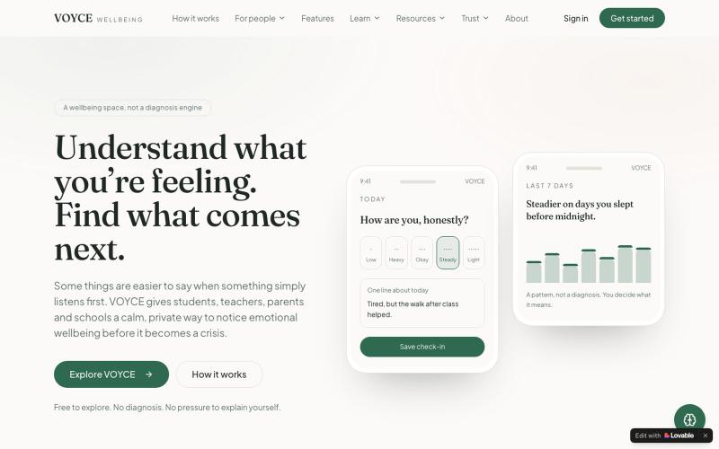VOYCE — Understand what you're feeling. Find what comes next. — screenshot