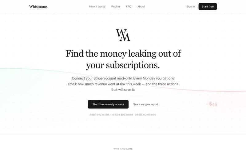 Whismone — revenue leak detector — screenshot